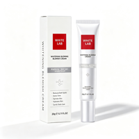 Crème Visage Éclaircissante Anti-Taches Formule Personnalisée Emballage Personnalisé Élimination des Taches de Rousseur Correcteur de Taches Vegan Nuit Tous Types de Peau