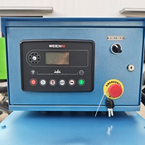 Groupe électrogène diesel silencieux Weichai 100kW 150kW 200kW 300kW avec ATS (transformation <span class=keywords><strong>automatique</strong></span>) pour usine et ferme - Product Image 4