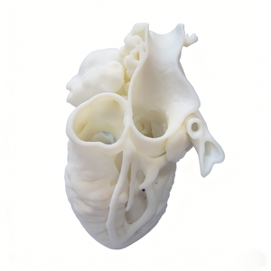 Meilleure vente en Chine : Prototypage rapide de tête humaine par impression 3D haute précision, matériau résine SLA, détails réalistes, personnalisation OEM - Product Image 6