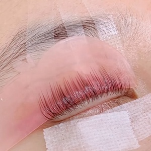 Que uốn mi tự dính mềm dẻo kiểu Apple, mi nối dạng miếng, nhãn hiệu riêng, mi nâng, miếng silicon bảo vệ - Product Image 5