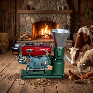Nieuwe platte matrijs diesel pelletpers voor het maken van biomassa pellets, capaciteit 200-300 kg/uur, 15PK - Product Image 1