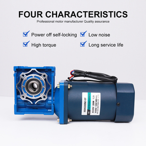 <span class=keywords><strong>Motor</strong></span> <span class=keywords><strong>de</strong></span> CA <span class=keywords><strong>de</strong></span> 200W con <span class=keywords><strong>Reductor</strong></span> <span class=keywords><strong>de</strong></span> Engranajes <span class=keywords><strong>de</strong></span> Tornillo Sin Fin con Autobloqueo al Apagarse y Controlador <span class=keywords><strong>de</strong></span> <span class=keywords><strong>Velocidad</strong></span>, Apto para Equipos <span class=keywords><strong>de</strong></span> Transmisión <span class=keywords><strong>de</strong></span> Transportadores - Product Image 2
