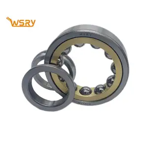 WSRY Cage en cuivre de haute précision Roulement à billes à contact oblique à une rangée 7205AC 7206AC 7207AC 7208AC Roulement à contact oblique