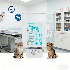 Máquina de Rayos X Veterinaria Portátil Digital de Alta Frecuencia de 5.6kw 8kw 12kw con Detector de Panel Plano y Computadora Portátil - Product Image 3