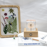 Lampe de nuit LED en cristal de fleur de pissenlit naturelle séchée, écologique et polie, cadeaux et artisanat