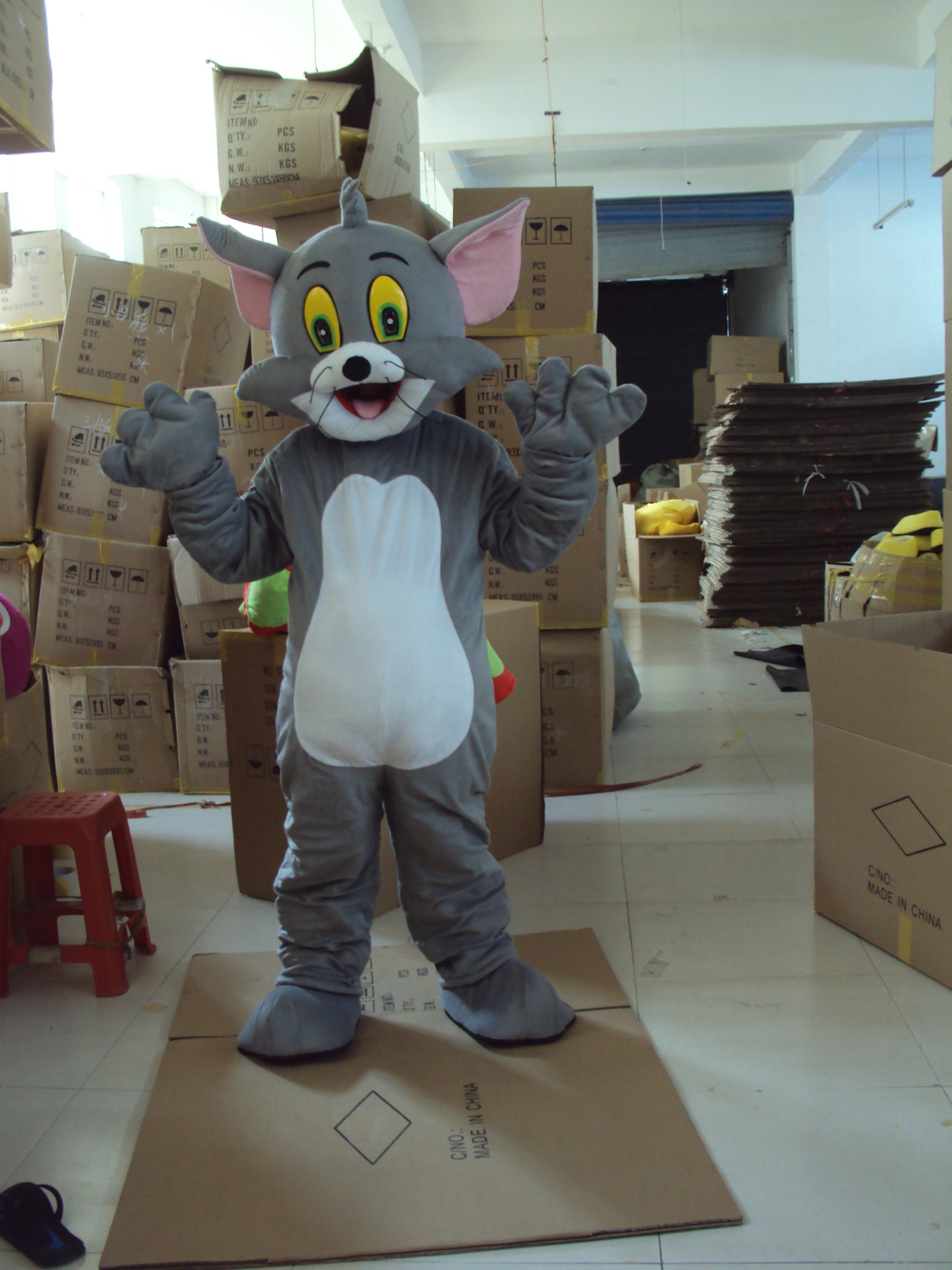 Gray Tom Cat