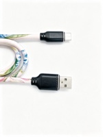 Câble de données imprimé en cuir PU de haute qualité, nouveau style, avec charge rapide 2A pour iPhone et Type-C Todugu T-155