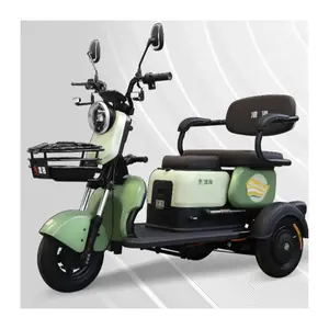 Triciclo elétrico para bicicleta e tanque, carro de táxi, transporte elétrico, motocicleta e auto-riquixá, Zongshen, Tuk Tuk, China