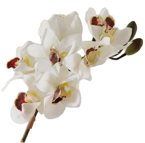 Fleur d'orchidée artificielle en plastique imprimée en 3D de marque <span class=keywords><strong>Dubo</strong></span>, toucher réel, 9 têtes de Phalaenopsis, pour décoration de Pâques et de mariage, Chine - Product Image 1