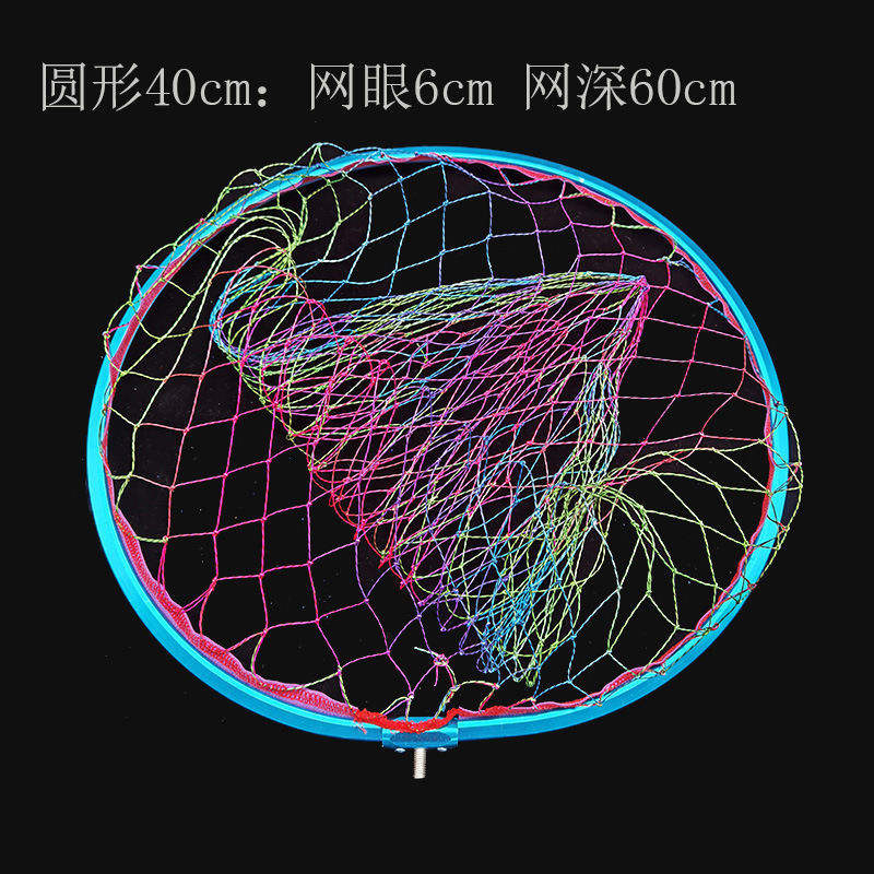 ไดนีม่าสีสันสดใสทรงกลม