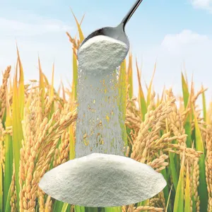 Poudre de protéine végétalienne de marque privée supplément de protéine végétalienne poudre de protéine de riz