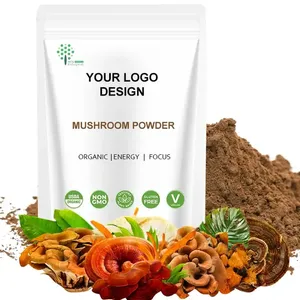 EU USDA Organic Coffee Mushroom Blend Powder Lions Mane Cordyceps Turkey Tail Maitake Reishi Chaga Mushroom Extract Powder