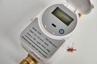 Harga bagus pada meteran air R250 ultrasonik pintar pengukur aliran air kuningan LoraWAN dengan dukungan OEM kelas perlindungan IP68