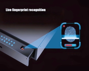 Gabinete de Almacenamiento Empotrado Personalizado Conseal con Cerradura de Huella Digital y Caja Digital - Product Image 2
