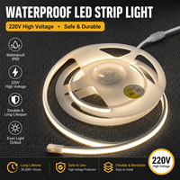 Bande lumineuse LED étanche 220V, flexible, 3000k, IP65, éclairage décoratif extérieur/intérieur pour maison, jardin, bâtiment