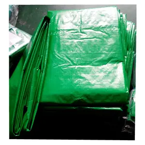 Groene Kleur Baal Verpakking Waterdicht Poly Tarp Pe Dekzeil Voor Vrachtwagen Cover