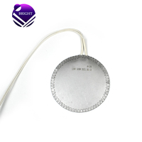 Plaque chauffante électrique ronde isolée en mica BRIGHT 120V 500W pour le préchauffage des moules circulaires