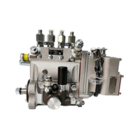 Nouvelle pompe d'injection Common Rail de haute qualité 1001094554 1005604711 pour moteurs Weichai Baudouin 6M33 4M06