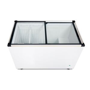 Congelador Horizontal Eléctrico de Vidrio Plano de 273L de Calidad Superior con Puerta Corredera para Supermercados, Hogares y Hoteles - Product Image 1