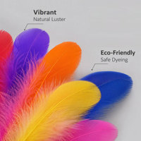 Suministros de Sombrerería, Plumas de Ganso Naturales, Accesorios para Sombreros, Decoración de Bases, Decoración para Bodas y Fiestas, Decoración del Hogar, Manualidades