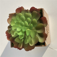 Mini Lotus Saussurea Involucrata Artificiel Réaliste Fait Main, Plante Succulente en Plastique, Décoration Moderne pour Bonsaï