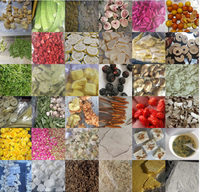 BZ JY-FD04 Mini Verticale Vriesdroger Laboratoriumgebruik Competitieve Prijs Voedselverwerkingsapparatuur Fruit Huisdieren Snacks PLC Versnellingsbak