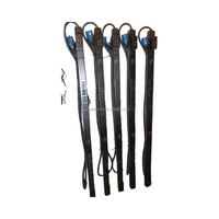 APC PDU AP7553 APC Basic Rack Power Distribution Unit 0U 32A APC Rack Mount PDU 32A APC Vertical PDU 32A