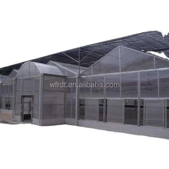 Paneles de policarbonato transparentes para invernaderos agrícolas a gran escala
