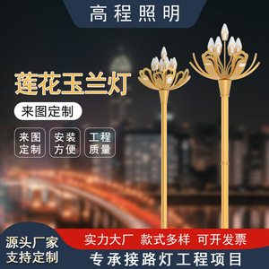 ไฟถนนแบบจีนยี่ห้อ Led Yu Lan โคมไฟเสาสูง อลูมิเนียมอัลลอยด์ IP65 ใช้งานได้นาน 50000 ชั่วโมง สำหรับสวนสาธารณะ จัตุรัส ถนนเทศบาล - Product Image 3