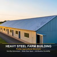 Nave Industrial Prefabricada de Bajo Costo para Avicultura, Estructura de Acero, Construcción Rápida para Uso en Almacenes o Talleres