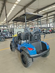 Nouveau bus touristique à quatre roues à énergie renouvelable, vitesse de 30 km/h, capacité de montée de 20 degrés, marque HKBG de Shandong, Chine, vente chaude, personnalisable - Product Image 4