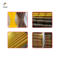 Machine à pâtes à double vis / Extrudeuse à pâtes spaghetti / Machine à pâtes