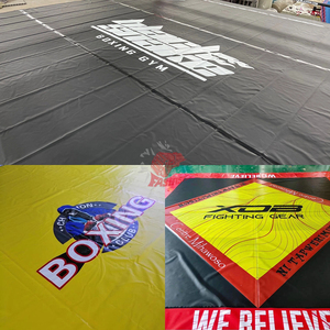Multifunctional boxing-<strong>ring</strong>-bed 3mX3m <strong>wrestling</strong> <strong>ring</strong> <strong>wwe</strong> For Sale - Product Image 4