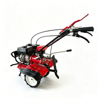 TENGAO Prix de gros 173 motoculteur diesel rotatif 180 °   Motoculteur agricole à poignée réversible, mini-cultivateur haute puissance
