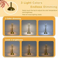 Lampe de table sans fil Rechargeable Touch Led Luxury Large Dable Lamps for Living Room Led Night Light