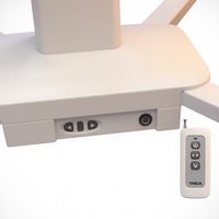 Support en acier robuste pour panneau de luminothérapie rouge, capacité de charge de 40 kg à 55 kg, base croisée roulante pour spa et clinique