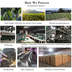 Té Verde Japonés Sencha Vaporizado, Hojas Sueltas, Económico, Grado 3A, <span class=keywords><strong>de</strong></span> China, para Restaurante/Cafetería/Ingrediente Alimentario/Uso Diario - Product Image 2