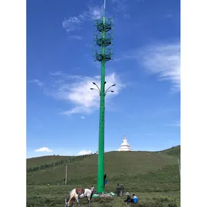 25 m 30 m gegalvaniseerd GSM telecommunicatie radio antenne hoge mast staal monopole ontwerp met antenne platform