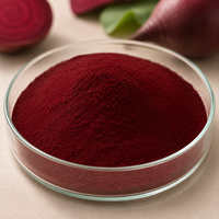 Extrait de feuille de betterave et de racine de betterave rouge de qualité alimentaire, poudre de pulpe de betterave sucrière 100% pure Beta Vulgaris, disponible en emballage fût/bouteille/canette