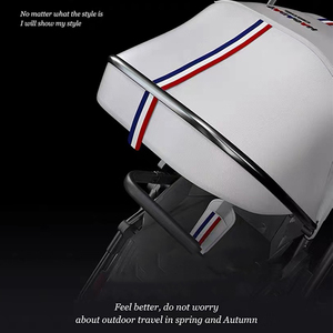 <span class=keywords><strong>2022</strong></span> Ventes populaires Les poussettes pour bébés peuvent s'asseoir et s'allonger Poussettes pour bébés pliantes à haute vue, <span class=keywords><strong>poussette</strong></span> pour bébé 3-en-1 - Product Image 5
