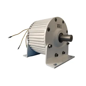 24v Permanent Magnet Generator Alternators Low Rpm Low Torque Three-phase 800w Alternator Generator Permanent Magnet