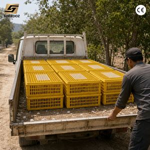 Jaula <span class=keywords><strong>de</strong></span> Transporte para Aves <span class=keywords><strong>de</strong></span> Corral, Diseño Apilable, Fácil <span class=keywords><strong>de</strong></span> Limpiar, Equipo para el Manejo <span class=keywords><strong>de</strong></span> Aves Vivas para Envíos Agrícolas - Product Image 3