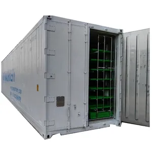 1000kg/d Factory Recommend Hydroponic Growing Container For Growing Fodder