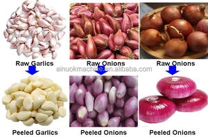 Éplucheur d'ail et d'oignons avec chaîne - Product Image 5