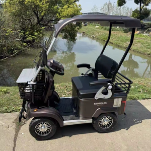 Scooter de mobilité Yisen Auto de qualité supérieure, à 4 roues, à carrosserie ouverte, pour le tourisme, avec une autonomie de 50-70 km - Product Image 5