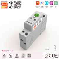 Disjoncteur intelligent WiFi en cuivre et plastique 1P+N TUYA avec compteur, 63A, télécommande sans fil pour usage industriel et domestique