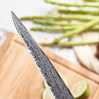 Ensemble de couteaux de cuisine Santoku de chef en acier Damas professionnel de luxe avec manche en résine de qualité
