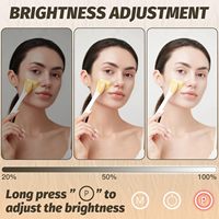 Miroir de maquillage avec écran tactile, éclairage LED 3 couleurs, variateur d'intensité, miroir de bureau carré grossissant, cadre en métal, OEM ODM