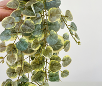 Offre Spéciale : Plantes Vertes Artificielles Suspendues, Feuilles d'Eucalyptus, Décoration Murale et de Plafond, Feuilles de Monnaie