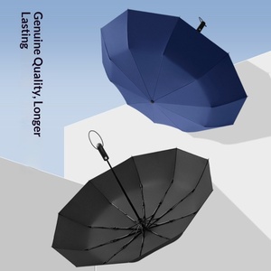 10 Bone Large Full-<b>Automatic</b> Folding Business Men's Dual-Use Advertising Printing <b>Umbrella</b> Manufacturers Stock - Product Image 1